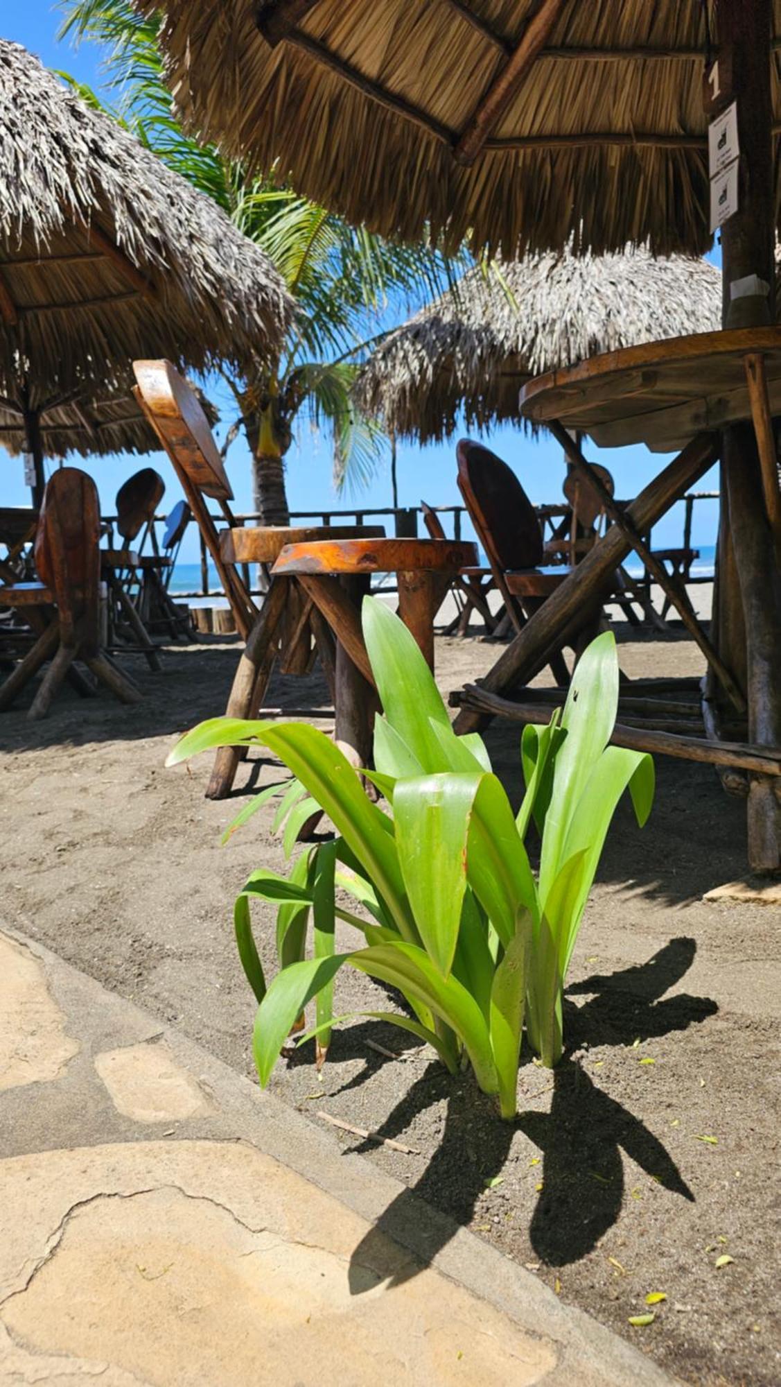 Mano A Mano Eco Hostal Las Penitas Bagian luar foto